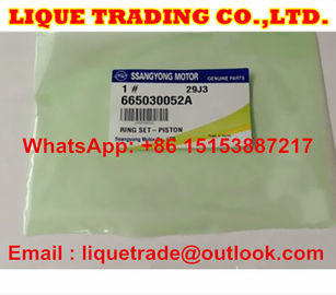 CHINA Sistema auténtico y original del aro del pistón de 665030052A Ring Set-Piston A665030052A para SSANGYONG proveedor