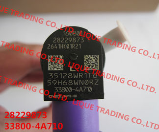 CHINA Inyector común del carril 28229873/33800-4A710 del inyector de DELPHI 28229873/33800-4A710/338004A710 para HYUNDA KIA proveedor