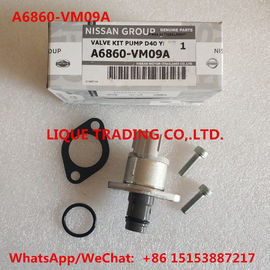 CHINA Los equipos auténticos A6860-VM09A, NISSAN A6860VM09A de la revisión, incluyen la válvula 294200-0360 proveedor