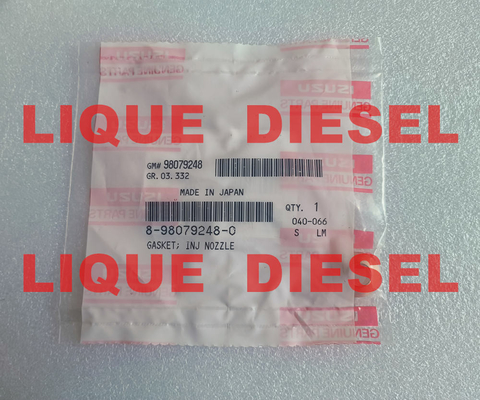 CHINA JUNTA 8-98079248-0 DE ISUZU JUNTA 8980792480 98079248: BOCA DE INJ proveedor