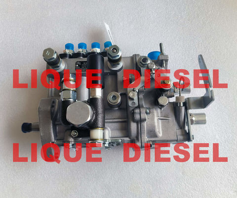 CHINA Diesel Pump BH4QT95R9 kangda pump proveedor