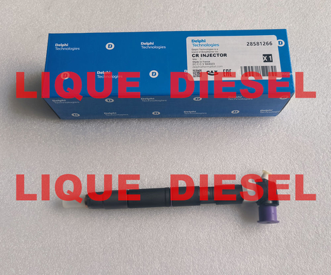 CHINA Inyector de riel común DELPHI 28581266 33800-2A150 338002A150 33800 2A150 proveedor