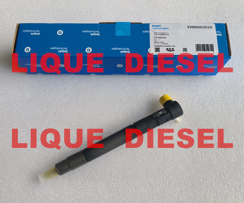 CHINA DELPHI EMBR00301D Inyector common rail R00301D 6710170121 A6710170121 para SSANGYONG Korando proveedor