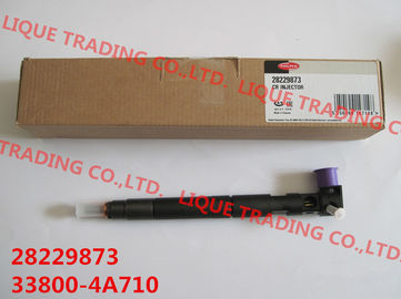 CHINA Inyector del carril de DELPHI Common 28229873/33800-4A710/338004A710 para HYUNDA KIA proveedor