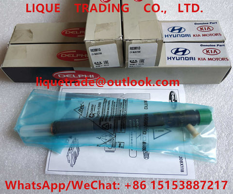 CHINA DELPHI Fuel Injector EJBR03001D/R03001D/33800-4X900/33801-4X900 para KIA EJBR02501Z proveedor