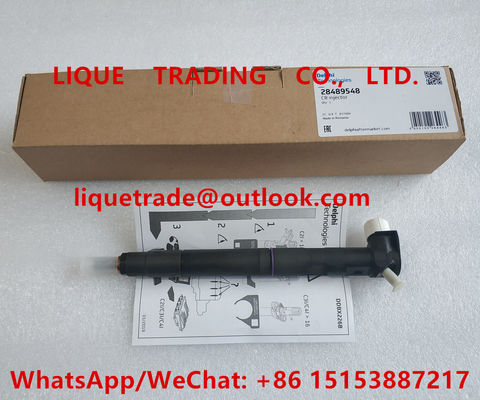 CHINA Inyector del carril de DELPHI Common 28489548/25195089, 28264951/25183186 proveedor
