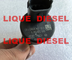 Regulador de presión del surtidor de gasolina de BOSCH, DRV 0281002500 para FIAT 9949317, IVECO 504016314, 42538165, RENAULT 5001857386 proveedor