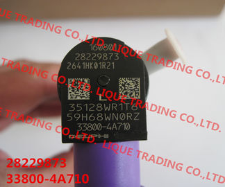 DELPHI 28229873/33800-4A710 auténticos y nuevo inyector común del carril 28229873/33800-4A710/338004A710 para HYUNDA KIA proveedor