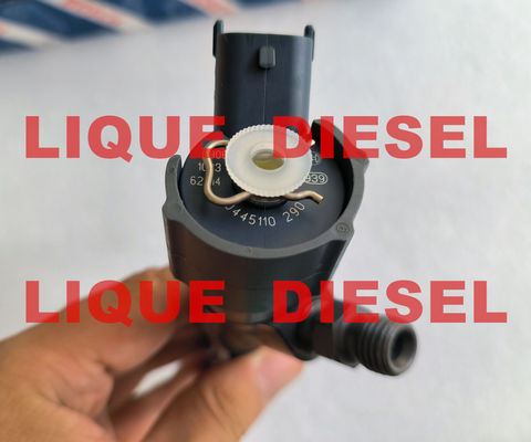 Inyector BOSCH de tren común 0445110290 0 445 110 290 para HYUNDAI KIA 33800-27900 33800-21900 33800-27000 proveedor