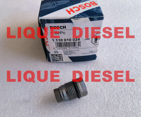 BOSCH válvula de alivio de presión 1110010024, 1 110 010 024 proveedor