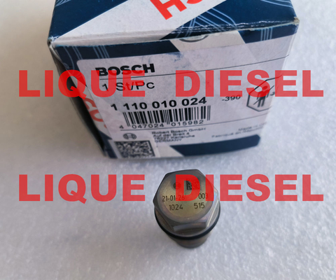 BOSCH válvula de alivio de presión 1110010024, 1 110 010 024 proveedor
