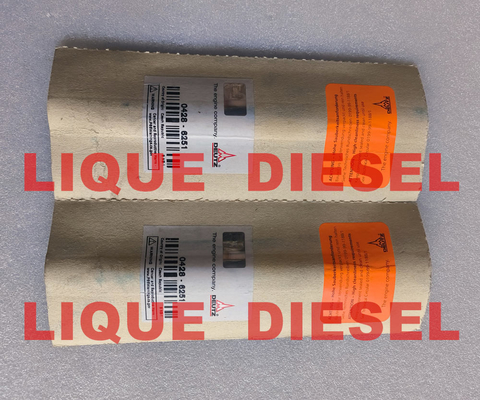 DEUTZ inyector de tren común 04286251 0428-6251 0428 6251 4286251 428 6251 proveedor