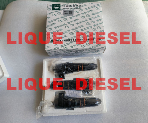 4914328 inyector común 3411821 del combustible diesel M11 ISM11 QSM11 del carril 4914328 3054220 proveedor