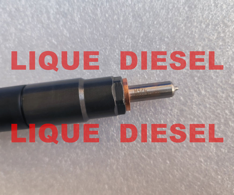 33800-4A710 28229873 DELPHI inyector de combustible del tren común 33800-4A710 28229873 para el KIA HYUNDA 33800 4A710 338004A710 proveedor