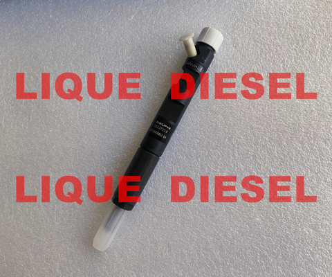 Inyector de combustible de DELPHI Common Rail Injector 28237259 28237259 proveedor