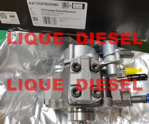 SURTIDOR de GASOLINA de Siemens VDO 5WS40698 A2C9321760080 proveedor