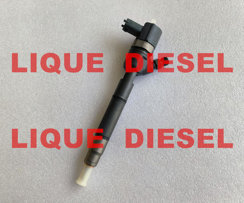 Inyector de combustible común del carril de BOSCH 0445110410 33800-2A800 0 445 110 410 338002A800 33800 2A800 proveedor