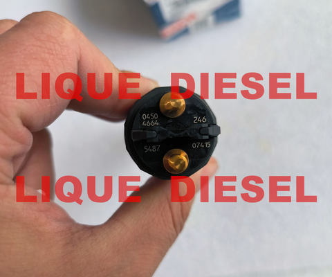 BOSCH Common Rail Injector 0445120246 0 445 120 246 Deutz KHD Injector 04504664 4504664 04504664KZ proveedor