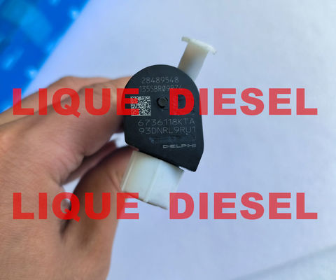 DELPHI Common rail injector 28489548 25195089 = 28264951 25183186 100% Genuine and new. proveedor