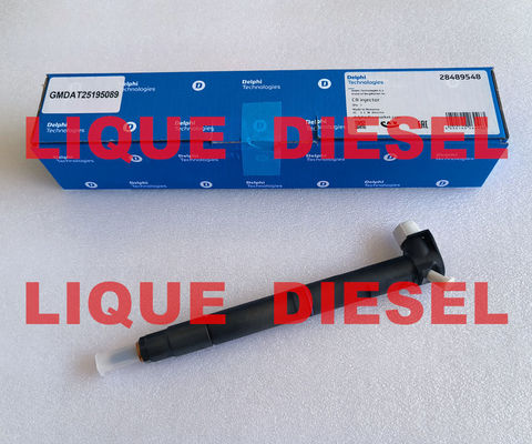DELPHI Common rail injector 28489548 25195089 = 28264951 25183186 100% Genuine and new. proveedor