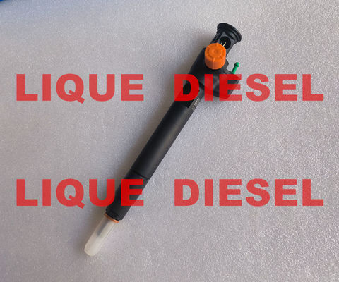 DELPHI Common Rail Injector 28602948 9674984080 28388960 D57Q-9F-893-BB D57Q9F893BB proveedor