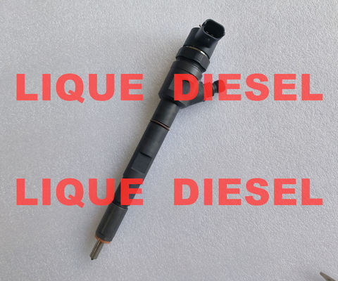 Inyector BOSCH 0445110274 0445110275 0 445 110 274 0 445 110 275 para el modelo HYUNDAI 33800-4A500 338004A500 proveedor