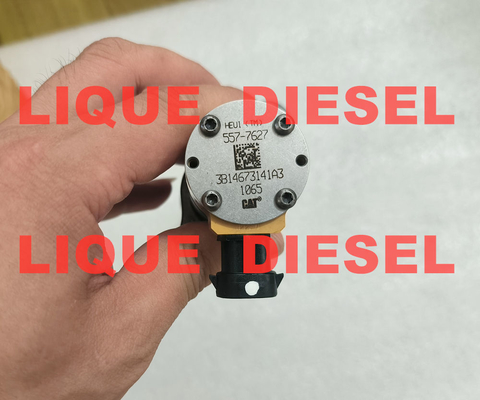 Inyector CAT 557-7627 5577627 387-9427 3879427 10R-7225 10R7225 para excavadoras CAT 324D, 325D, 326D, 328D, 329D proveedor