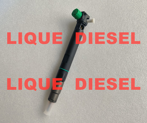 INJETOR DELPHI 28347042 para DOOSAN 400903-00043E 40090300043E proveedor