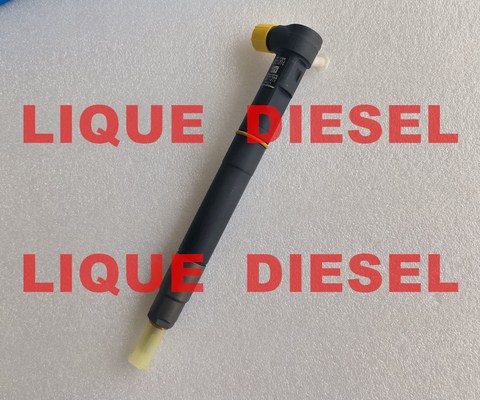 Delphi inyector de combustible 28387604 6730170021 A6730170021 para SSANGYONG Tivoli original OE A 673 017 00 21 proveedor
