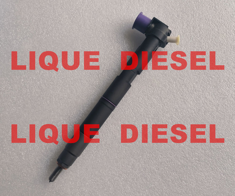 Inyector de riel común DELPHI 28581266 33800-2A150 338002A150 33800 2A150 proveedor