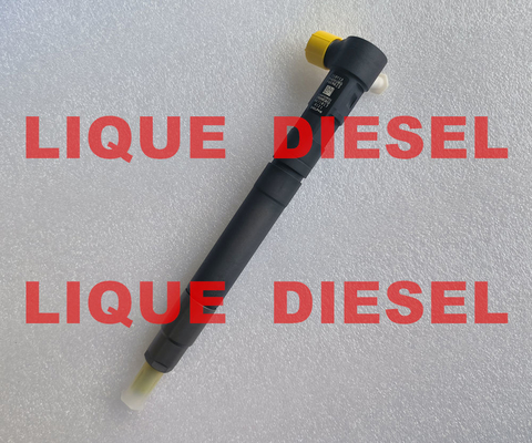 DELPHI EMBR00301D Inyector common rail R00301D 6710170121 A6710170121 para SSANGYONG Korando proveedor