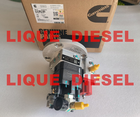 Bomba de combustible Cummins 3090942 3417674 3417674X P3417674 Genuina y Nueva proveedor