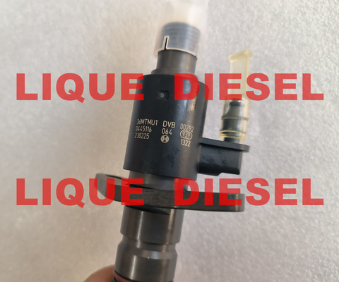 Inyector BOSCH 0445116064 0445116012 0445116013 0 445 116 064 0 445 116 012 0 445 116 013 proveedor