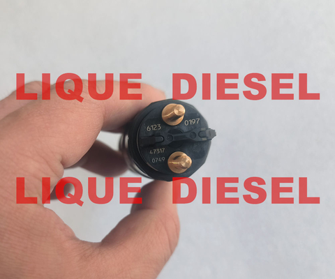 BOSCH 0445120197 51101006123 Ensamblaje del inyector de combustible 0 445 120 197 51101006123 Para el tipo MAN proveedor