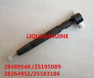 Inyector del carril de DELPHI Common 28489548/25195089, 28264951/25183186 proveedor