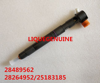 Inyector del carril de DELPHI Common 28489562/25195088, 28264952/25183185 proveedor
