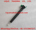 DELPHI Common Rail Injector 28271551, A6510702887, 28348370, 6510702887 para Mercedes Benz proveedor