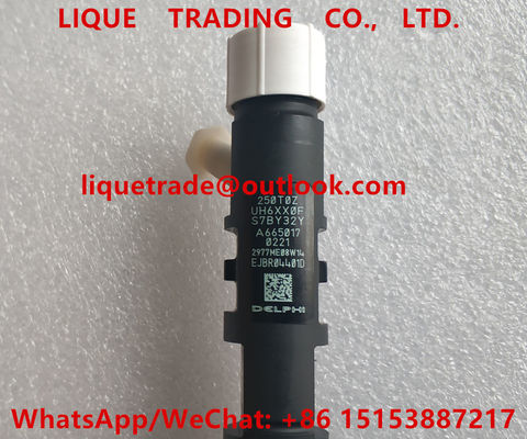 Inyector EJBR04401D, R04401D de DELPHI Fuel para SSANGYONG A6650170221, 6650170221 proveedor
