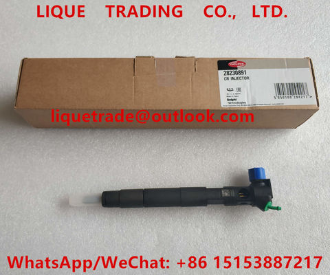 DELPHI Common Rail Injector 28230891, inyector de combustible A6510701387 6510701387 proveedor