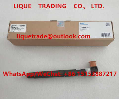 Inyector común 28236381, 33800-4A700, 338004A700, 33800 4A700 del carril de DELPHI para HYUNDAI Starex proveedor