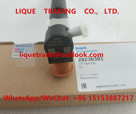 Inyector común 28236381, 33800-4A700, 338004A700, 33800 4A700 del carril de DELPHI para HYUNDAI Starex proveedor