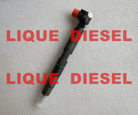 DELPHI Fuel Injector 28337917, 400903-00074D, 400903-00074C, 40090300074D, 40090300074C para DOOSAN proveedor