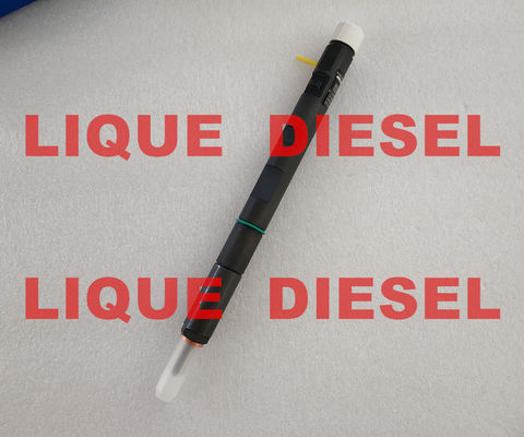 DELPHI Injector 28258683, 320/06833, 320-06833, 32006833, 320 inyector del JCB de 06833 originales para el excavador del JCB proveedor